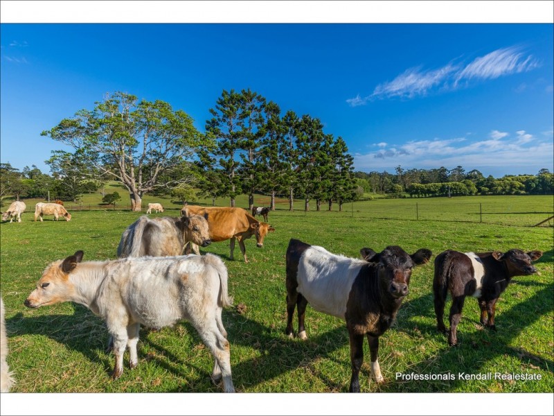 59 Wilson Road, Tamborine Mountain QLD 4272