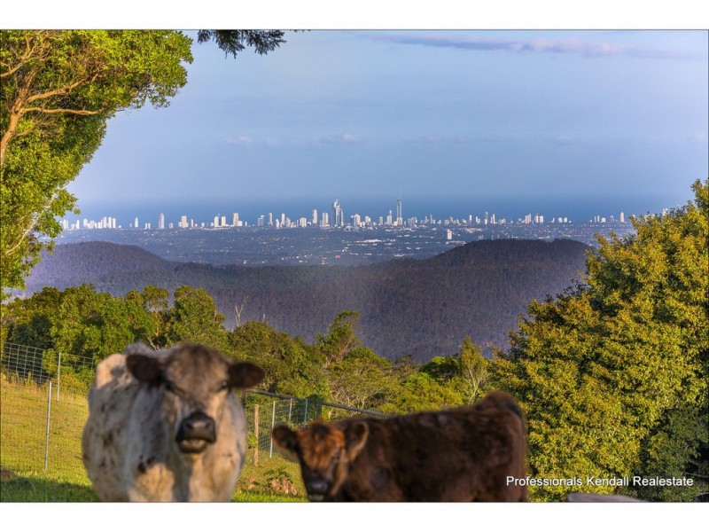 59 Wilson Road, Tamborine Mountain QLD 4272