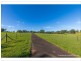 59 Wilson Road, Tamborine Mountain QLD 4272
