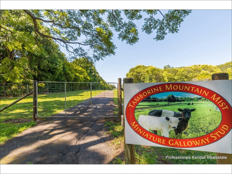 59 Wilson Road, Tamborine Mountain QLD 4272