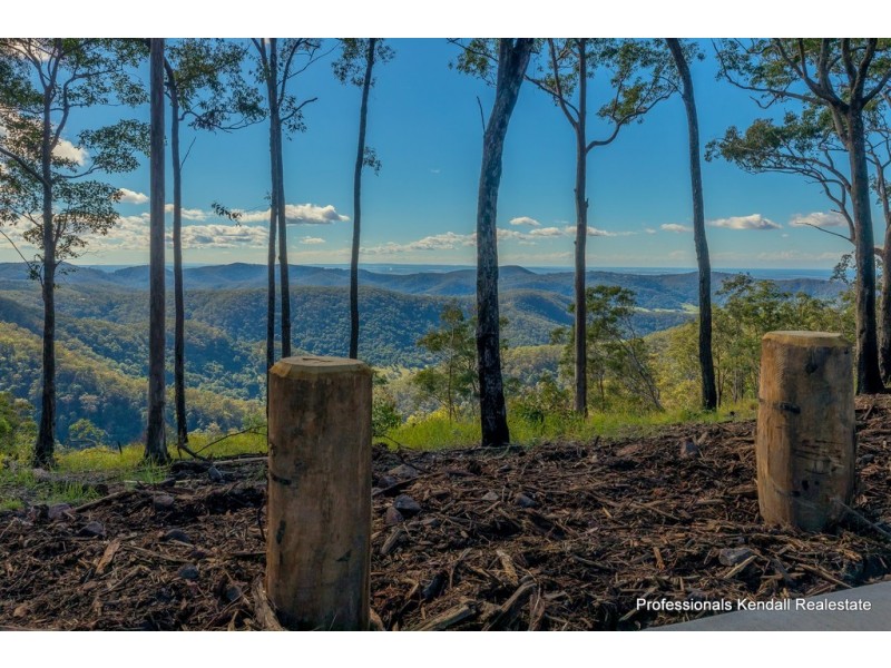 Lot 12/106 Wongawallan Road, Tamborine Mountain QLD 4272