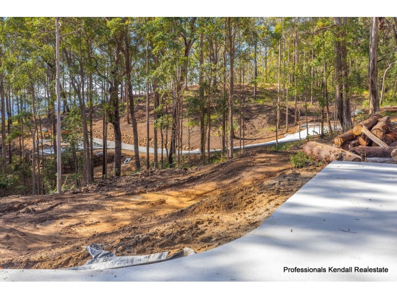 Lot 8/106 Wongawallan Road, Tamborine Mountain QLD 4272