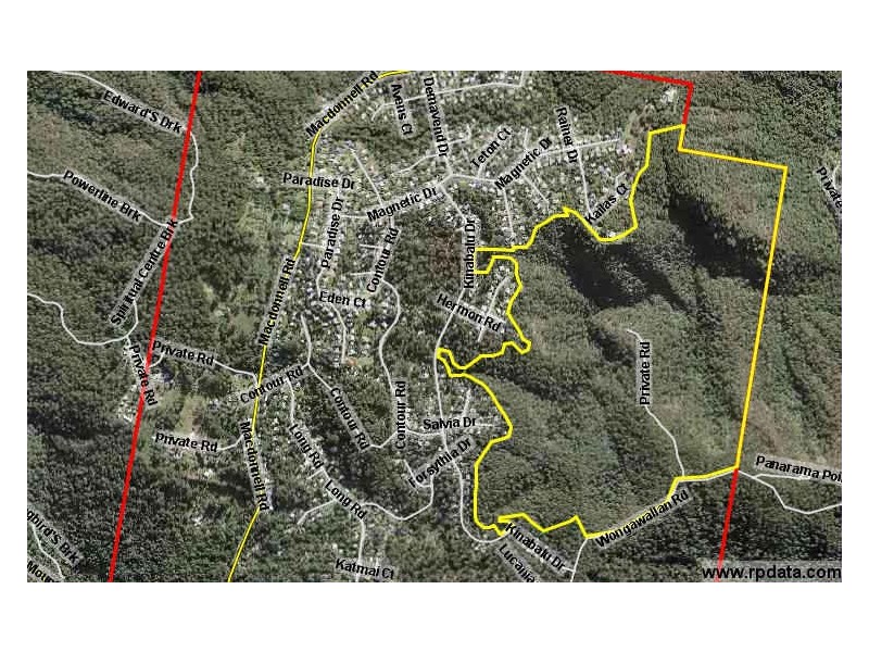 Lot 8/106 Wongawallan Road, Tamborine Mountain QLD 4272