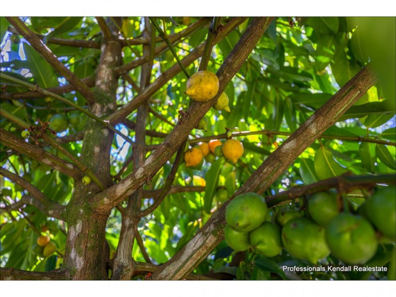 72-74 Freemont Drive, Tamborine Mountain QLD 4272