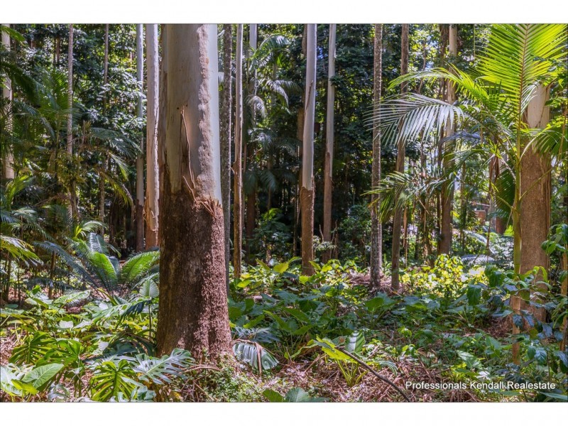 15 Lahey Road, Tamborine Mountain QLD 4272