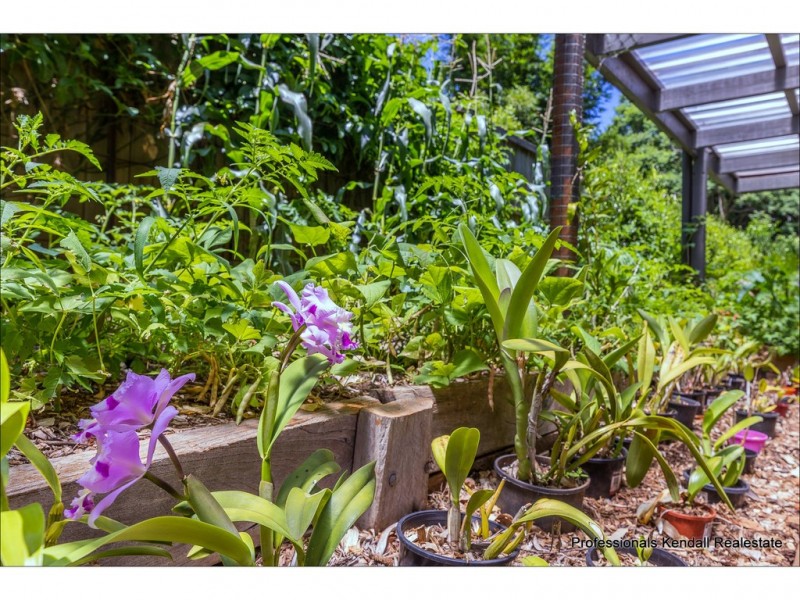 15 Lahey Road, Tamborine Mountain QLD 4272