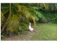 102 Contour Road, Tamborine Mountain QLD 4272