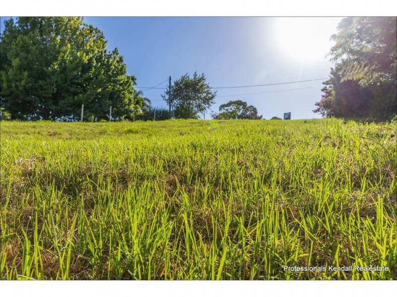 56 Paradise Drive, Tamborine Mountain QLD 4272