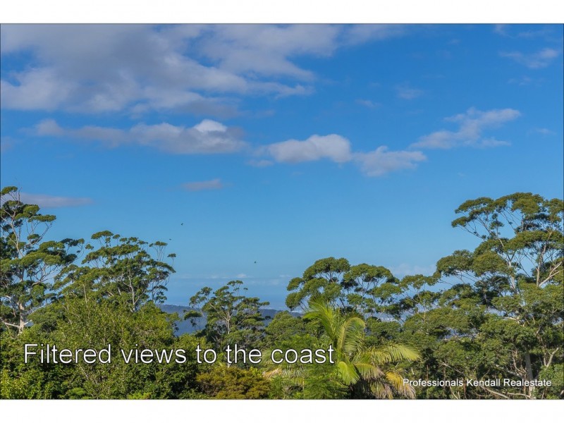 56 Paradise Drive, Tamborine Mountain QLD 4272