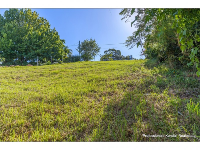 56 Paradise Drive, Tamborine Mountain QLD 4272