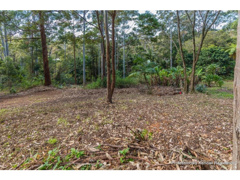 75 Contour Road, Tamborine Mountain QLD 4272
