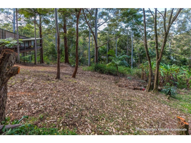 75 Contour Road, Tamborine Mountain QLD 4272