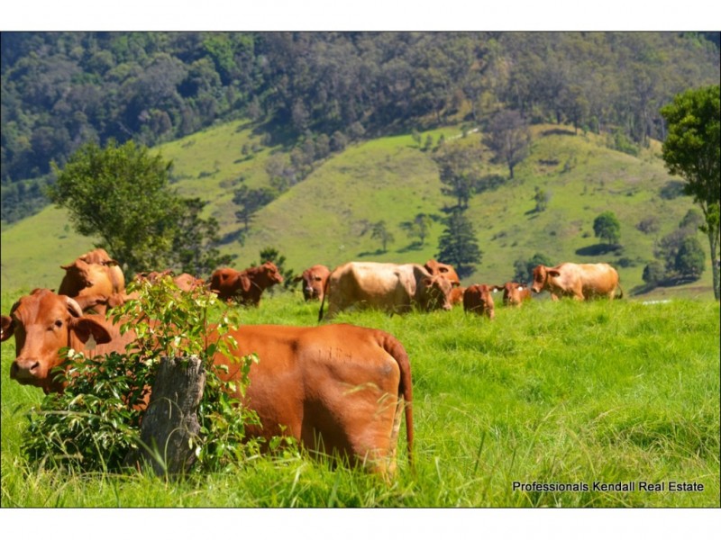 601 Illinbah Rd, Illinbah QLD 4275