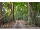 358 Main Western Road, Tamborine Mountain QLD 4272