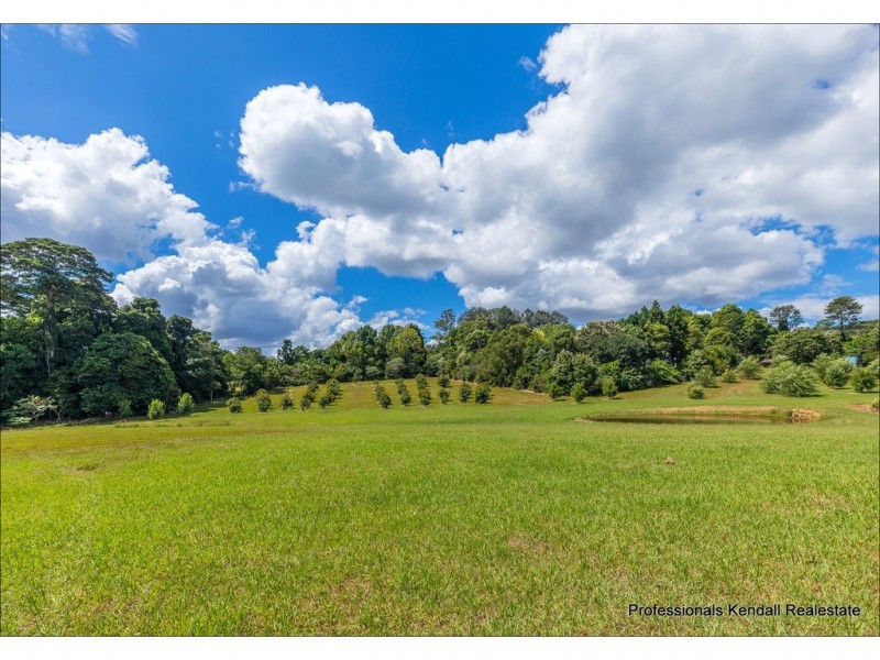 311 Long Road, Tamborine Mountain QLD 4272