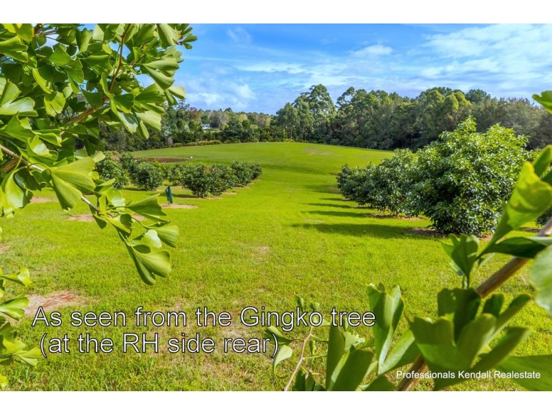 311 Long Road, Tamborine Mountain QLD 4272