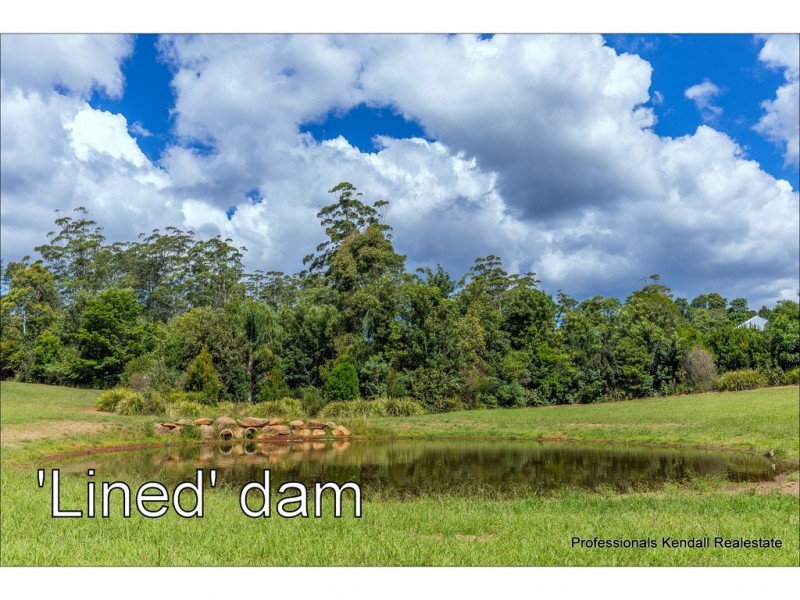 311 Long Road, Tamborine Mountain QLD 4272