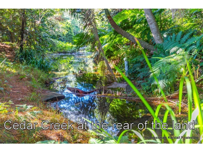 311 Long Road, Tamborine Mountain QLD 4272