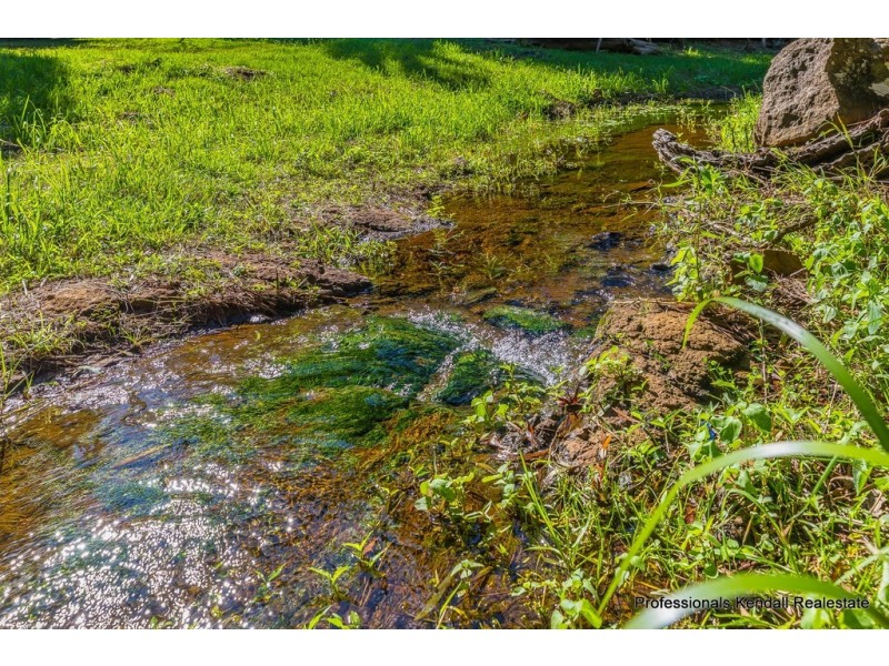 311 Long Road, Tamborine Mountain QLD 4272