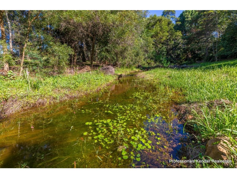 311 Long Road, Tamborine Mountain QLD 4272