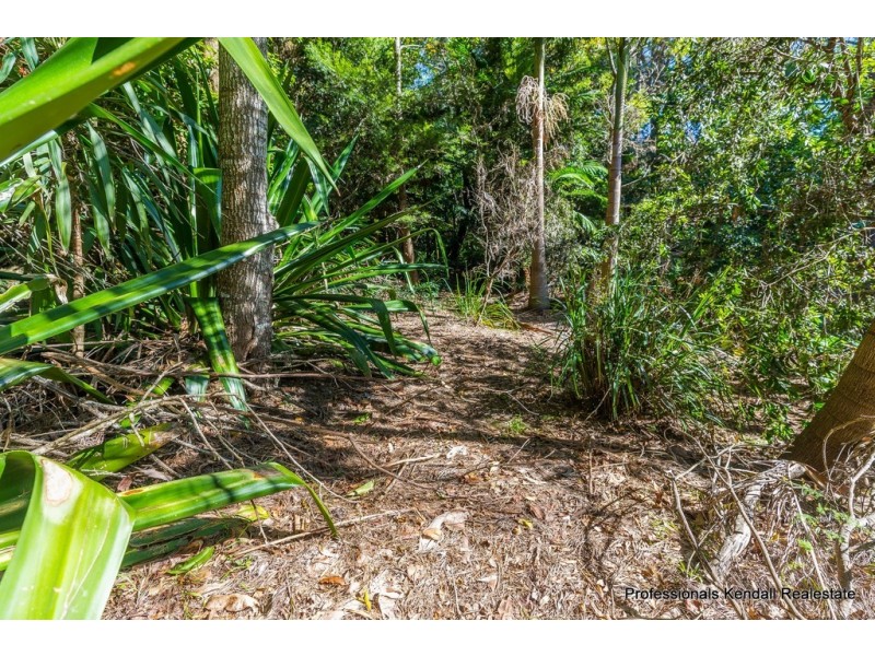 311 Long Road, Tamborine Mountain QLD 4272