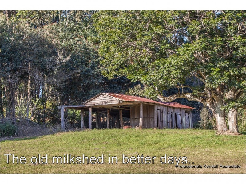 311 Long Road, Tamborine Mountain QLD 4272