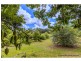 311 Long Road, Tamborine Mountain QLD 4272