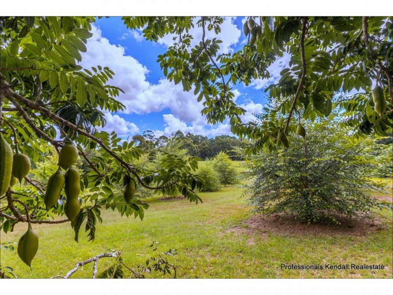 311 Long Road, Tamborine Mountain QLD 4272