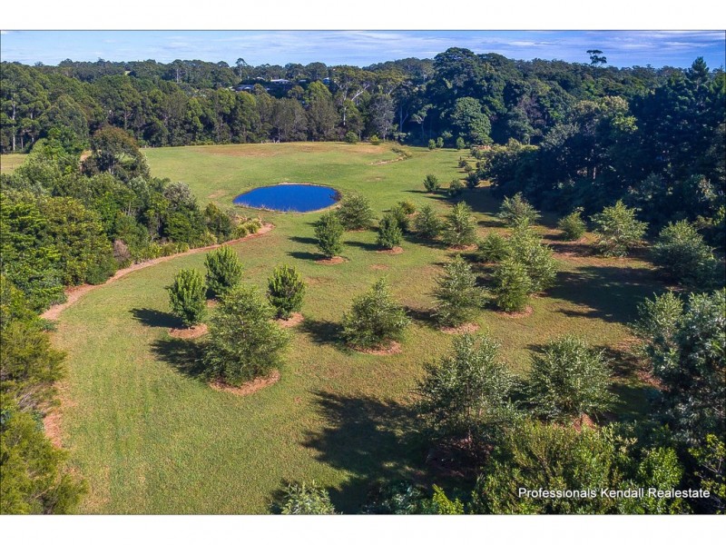 311 Long Road, Tamborine Mountain QLD 4272
