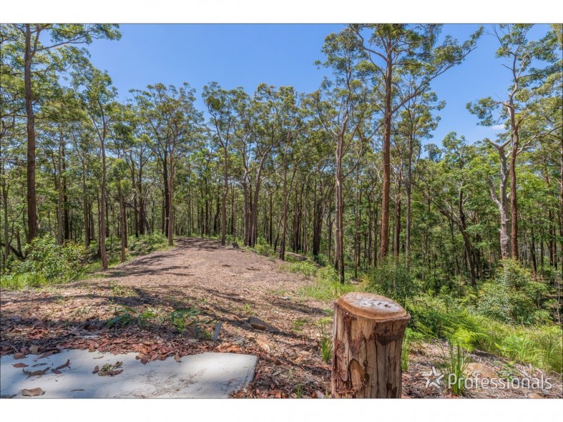 Lot 7/106 Wongawallan Road, Tamborine Mountain QLD 4272