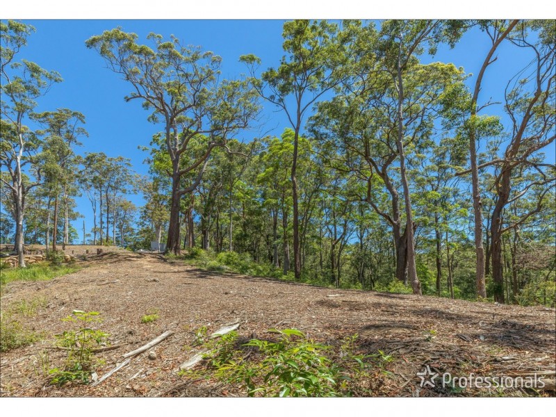 Lot 7/106 Wongawallan Road, Tamborine Mountain QLD 4272