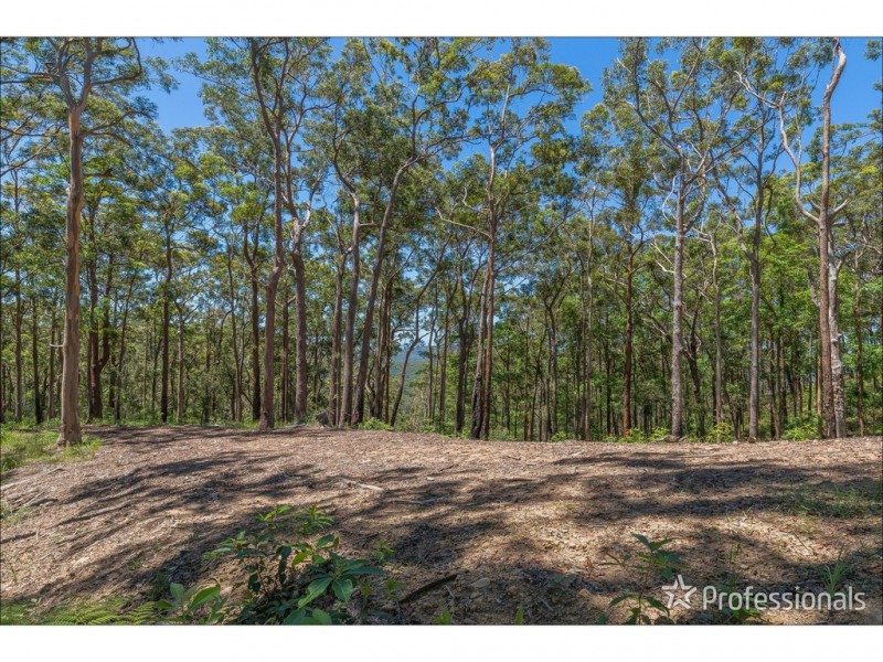 Lot 7/106 Wongawallan Road, Tamborine Mountain QLD 4272