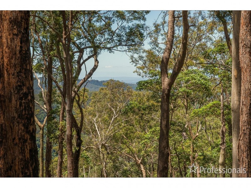 Lot 7/106 Wongawallan Road, Tamborine Mountain QLD 4272