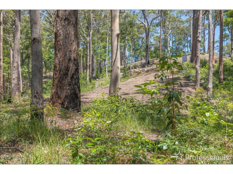 Lot 7/106 Wongawallan Road, Tamborine Mountain QLD 4272
