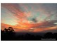 254-260 Macdonnell Rd, Tamborine Mountain QLD 4272