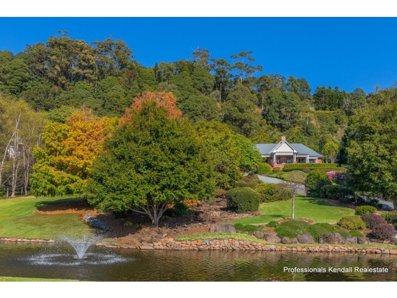 97101 The Shelf Road, Tamborine Mountain QLD 4272 Professionals