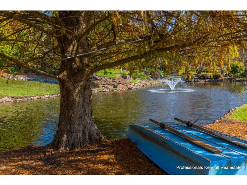 97101 The Shelf Road, Tamborine Mountain QLD 4272 Professionals