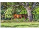 4 Lahey Lookout Road, Tamborine Mountain QLD 4272