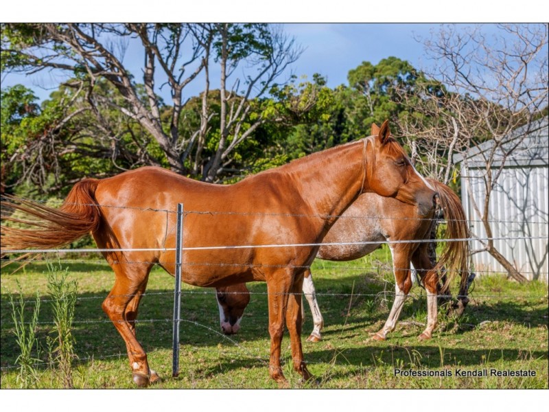 4 Lahey Lookout Road, Tamborine Mountain QLD 4272