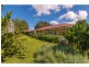 95 Coomera Gorge Dr, Tamborine Mountain QLD 4272