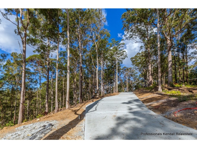 Lot 4/106 Wongawallan Road, Tamborine Mountain QLD 4272