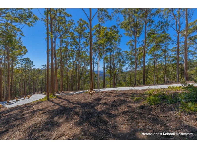 Lot 4/106 Wongawallan Road, Tamborine Mountain QLD 4272