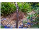 30 Cibola Drive, Tamborine Mountain QLD 4272
