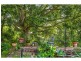 25-29 Murray Grey Drive, Tamborine QLD 4270