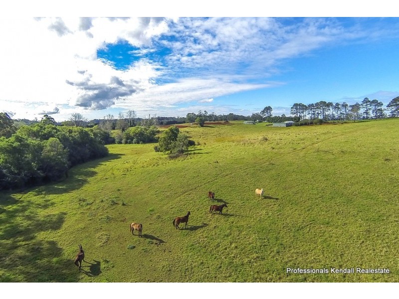 395 Long Road, Tamborine Mountain QLD 4272