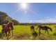 395 Long Road, Tamborine Mountain QLD 4272