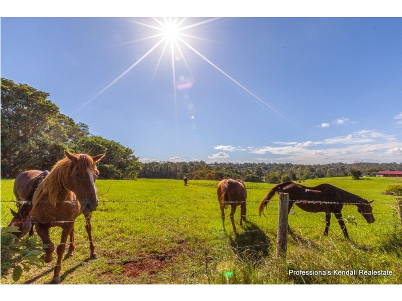 395 Long Road, Tamborine Mountain QLD 4272