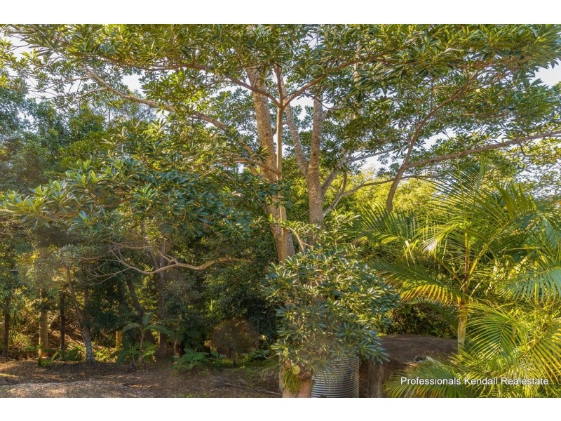 131 Kinabalu Drive, Tamborine Mountain QLD 4272