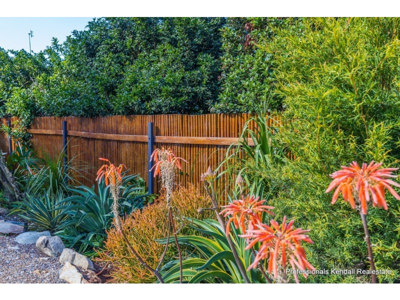 131 Kinabalu Drive, Tamborine Mountain QLD 4272