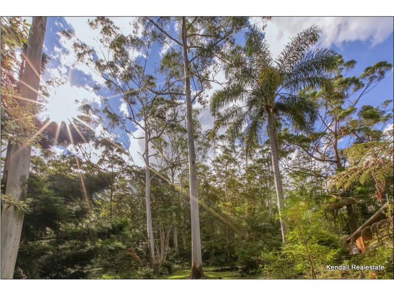 12 Kamet Court, Tamborine Mountain QLD 4272